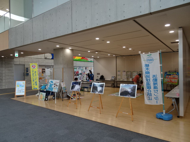 0-DSC05924
