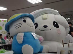 4-DSC07989