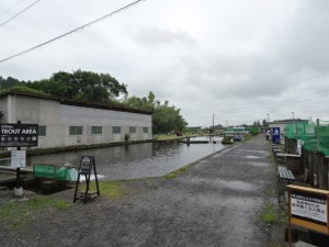 DSC08145